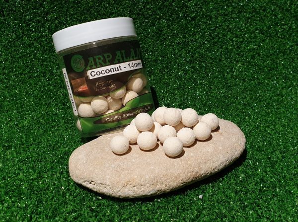 Pop-up Coconut