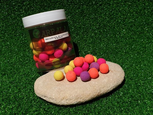 Pop-up Neutres (4 colors) Fluo